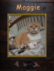 Maggie – The Queen of the Farm House