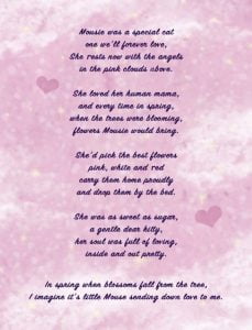 Poem about Mousie the Angel Kitty